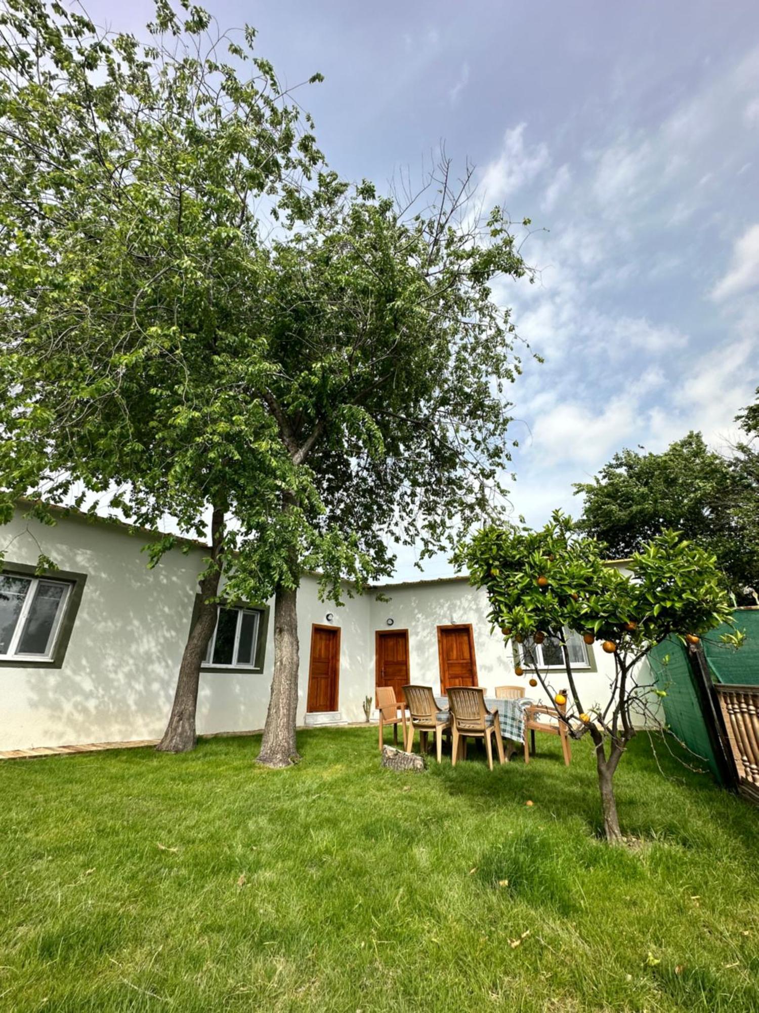 Bahaus Resort Dalyan Exterior photo