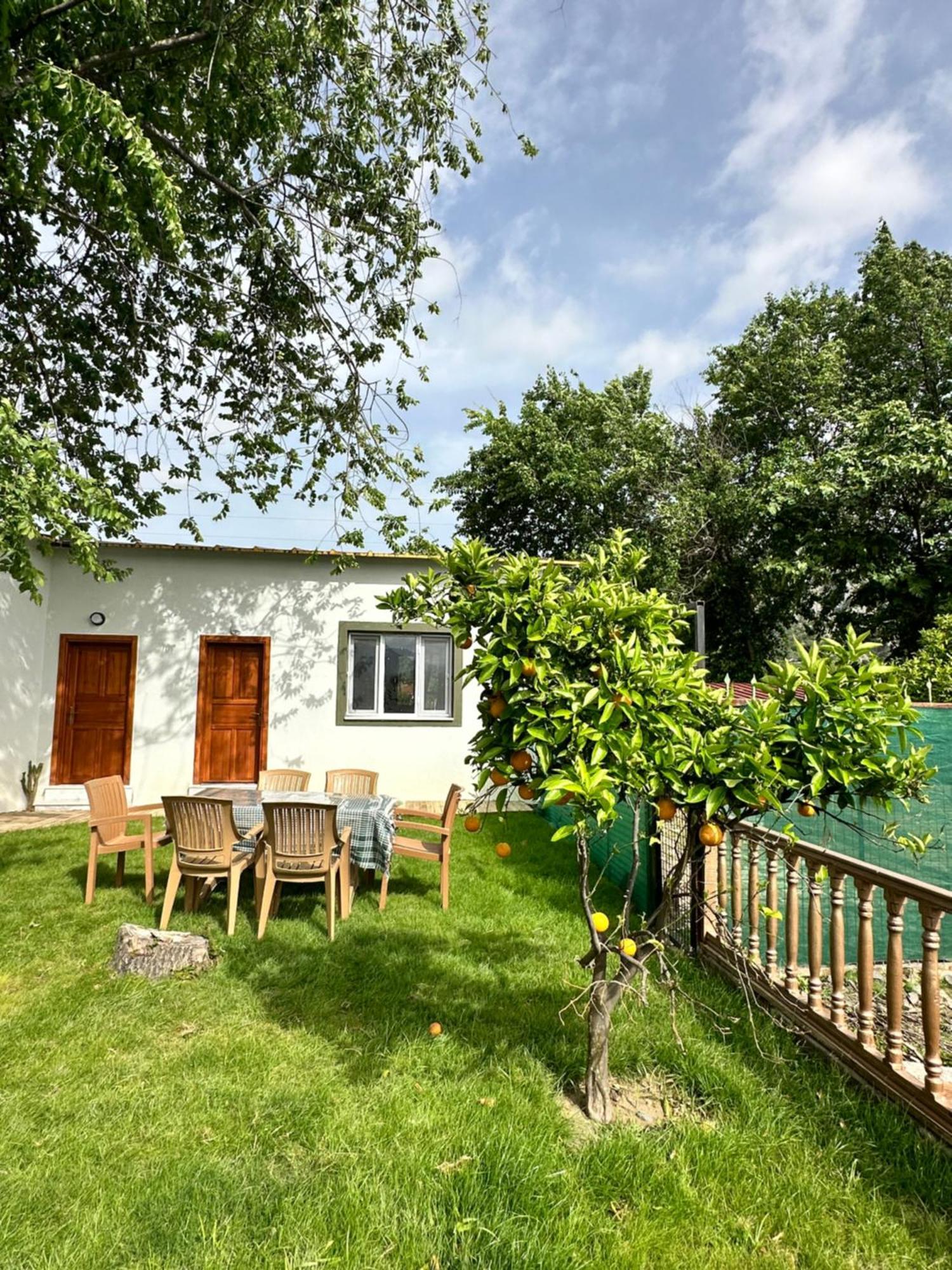 Bahaus Resort Dalyan Room photo